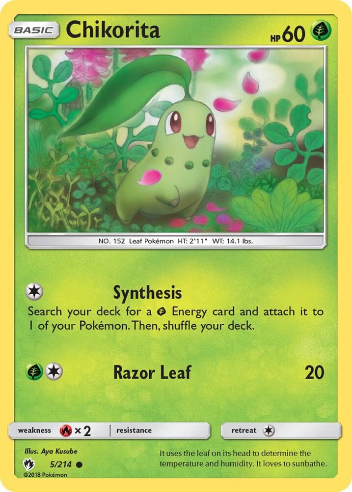Chikorita (5)