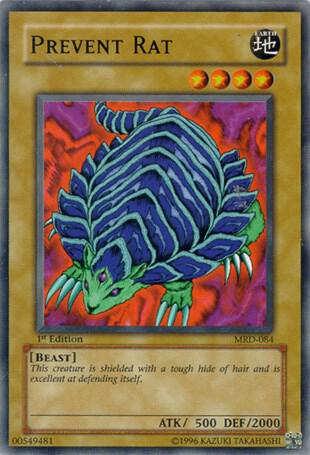 Prevent Rat