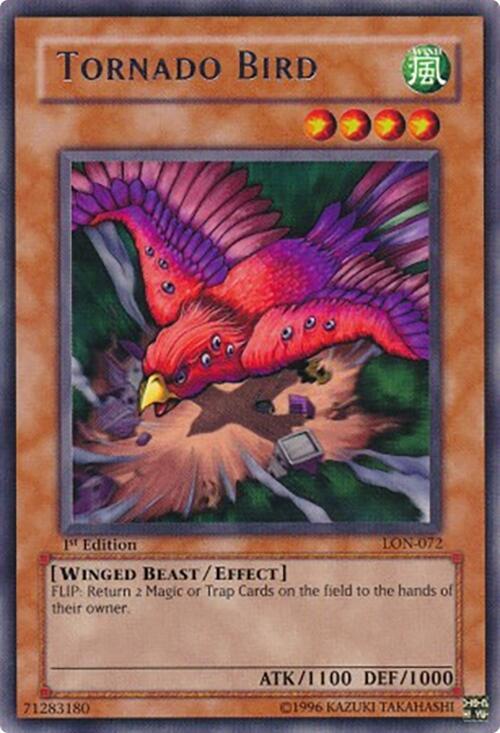 Tornado Bird