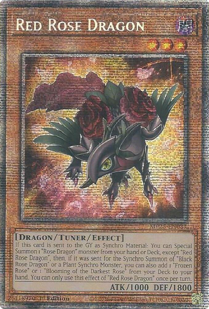 Red Rose Dragon