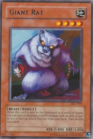 Giant Rat