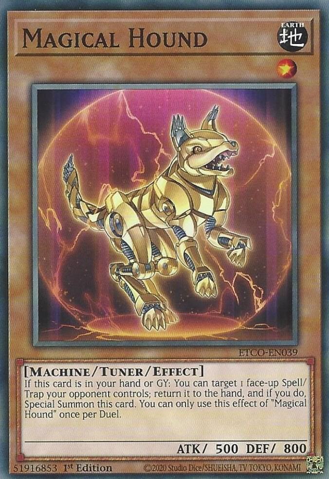 Magical Hound