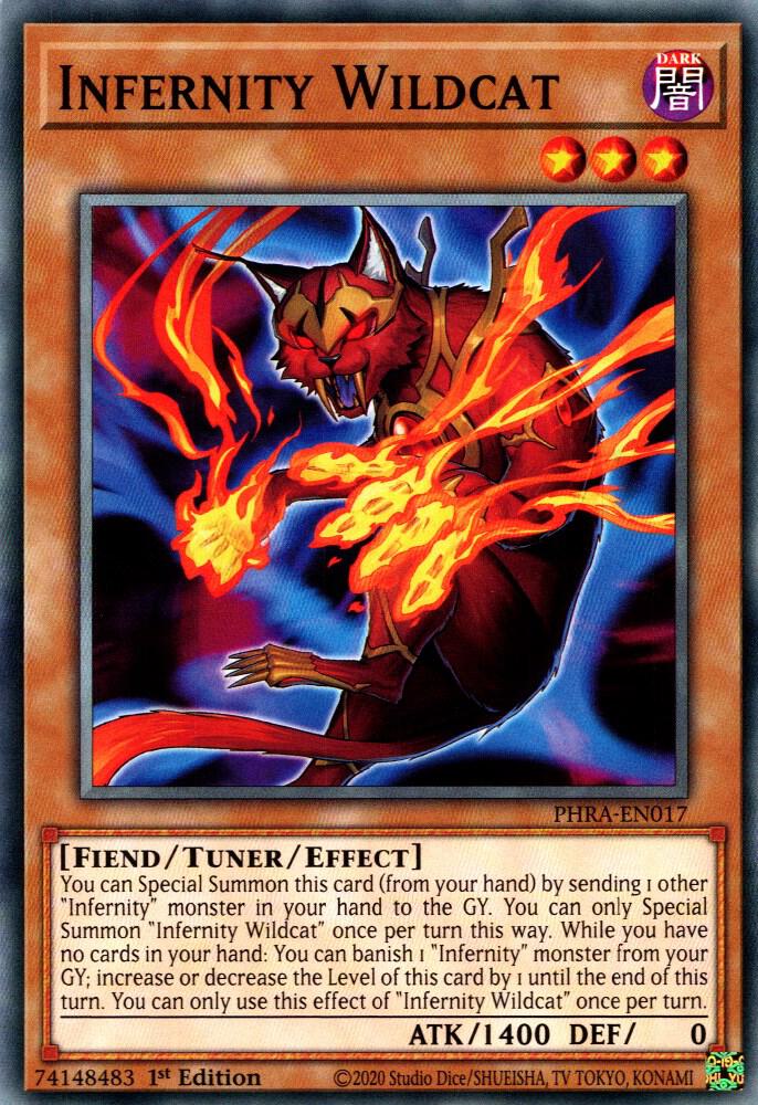 Infernity Wildcat
