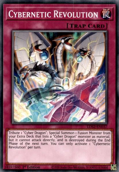 Cybernetic Revolution
