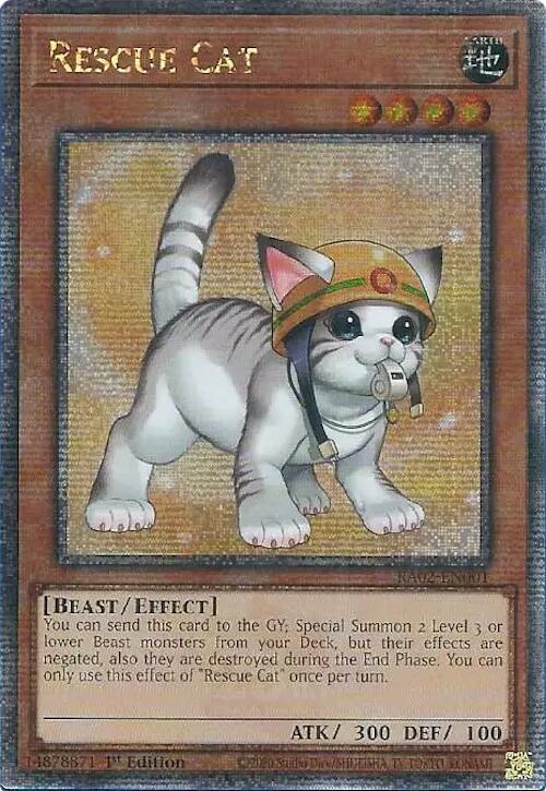 Rescue Cat (Alternate Art) (Quarter Century Secret Rare)