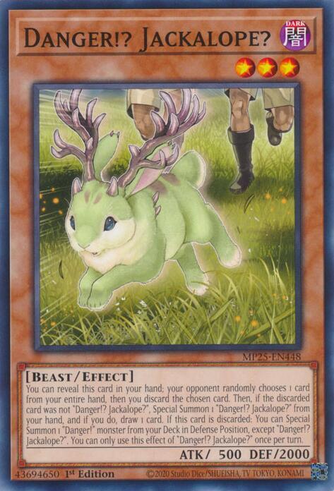 Danger!? Jackalope?