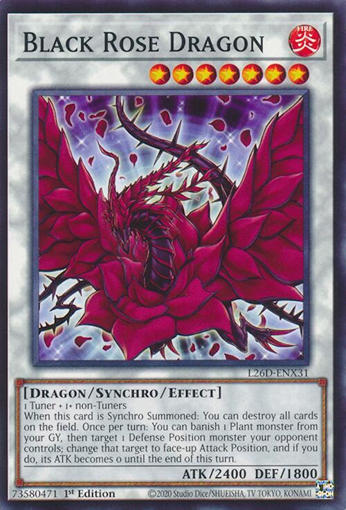 Black Rose Dragon