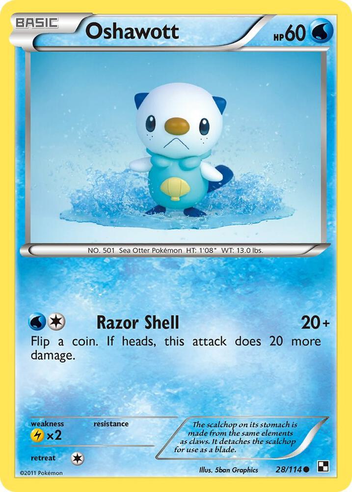 Oshawott (28)