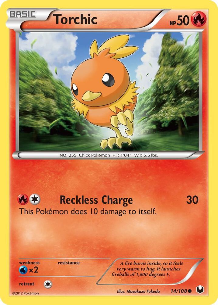 Torchic (14)